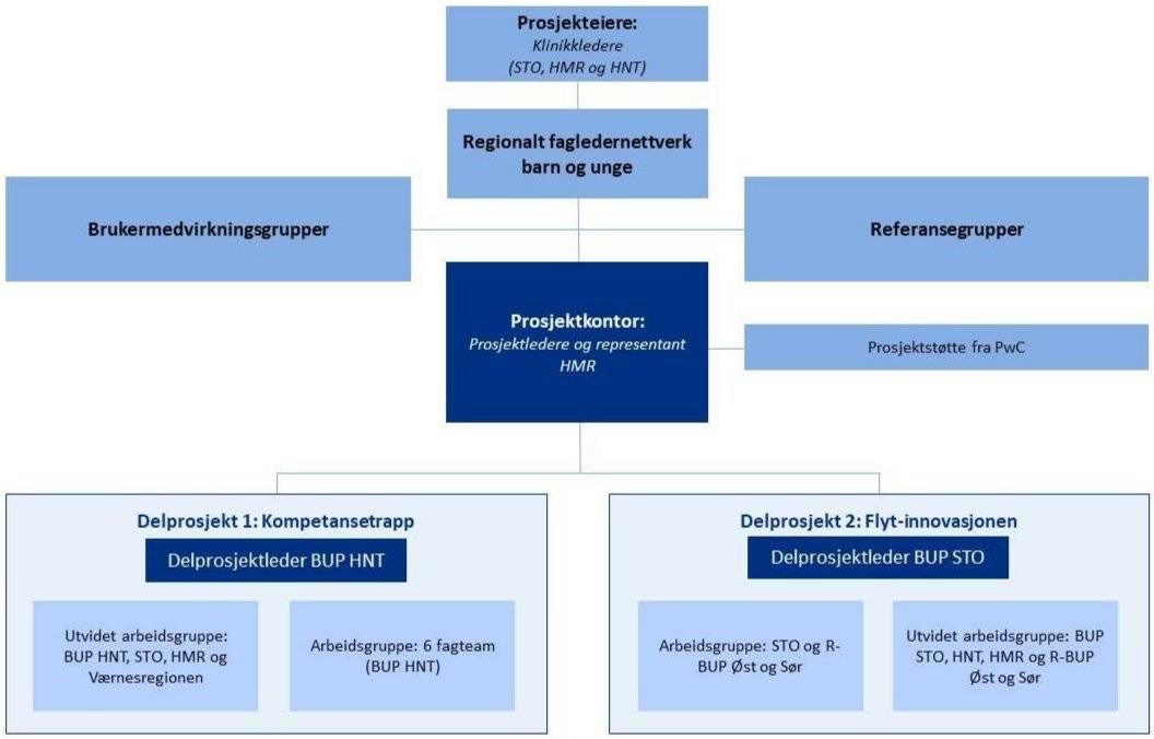 Prosjektorganisering